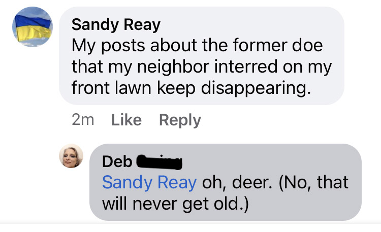 Comments. Me: My posts about the former doe that my neighbor interred on my front lawn keep disappearing. Deb: Oh, deer. (No, that will never get old.)